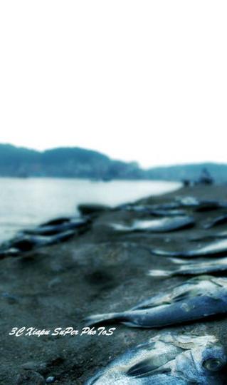 霞浦三沙游记20