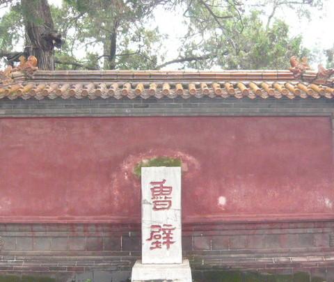 曲阜--孔子的故乡19