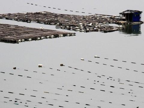 2011年4月2日——2011年4月5日福建霞浦26