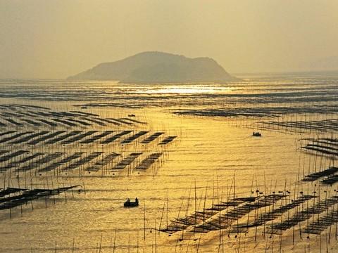 北岐海滩迎朝阳，海上变幻耶稣光--霞浦游之三17