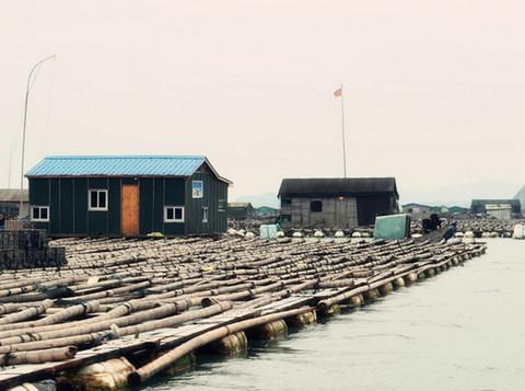 囡囡骑马游霞浦——第一次用镜头、用心，感觉美的幽然素淡13