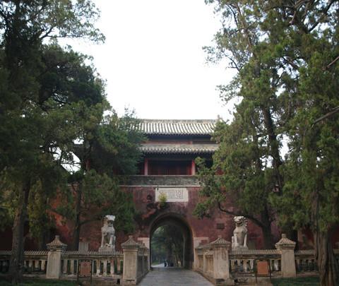 孔林14