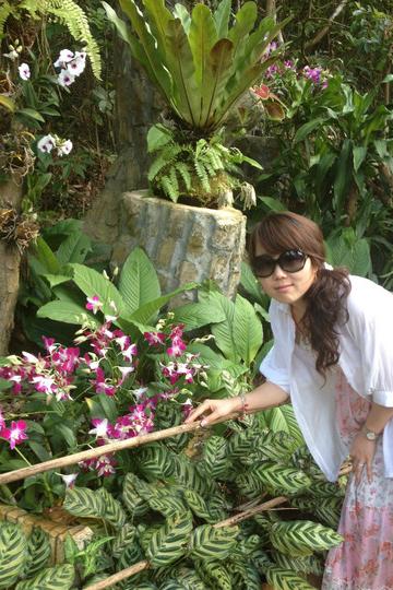 不管末日是否来临、我们永远在一起（三亚六天五晚自由行）55