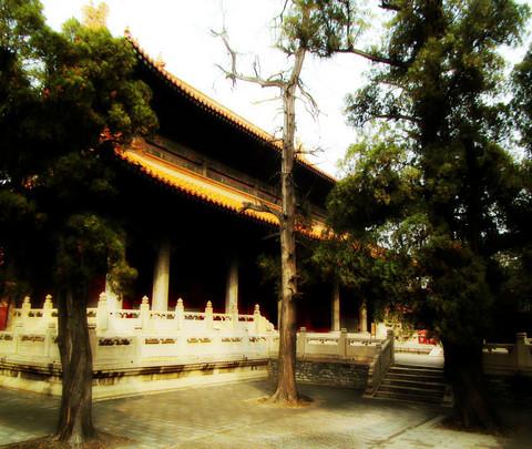 儒——春天的邹城、曲阜（照片朋友拍的）18