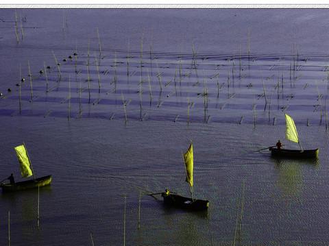 再到霞浦看海去——海之恋之五20