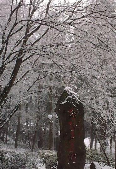 庐山、雪--迟来的回忆5