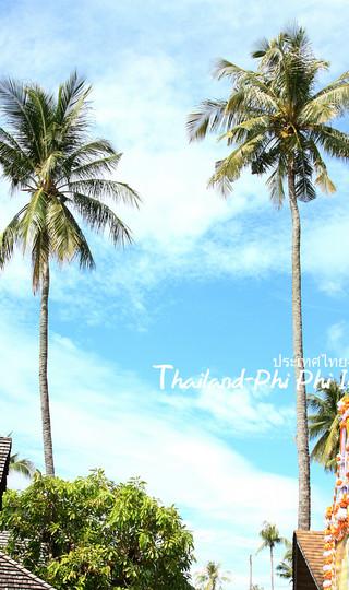 火辣辣阳光之旅(曼谷Bangkok,普吉岛Phuket,卡塔Kata,皮皮岛Phi Phi Island,芭东Patong)泰国全程详细游记+攻略96