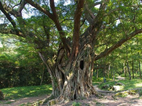 20人的霞浦(无攻略只有体会和照片)14