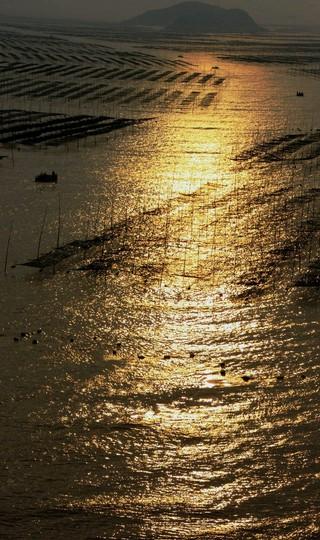 北岐海滩迎朝阳，海上变幻耶稣光--霞浦游之三16