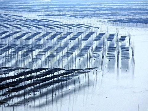 北岐海滩迎朝阳，海上变幻耶稣光--霞浦游之三4