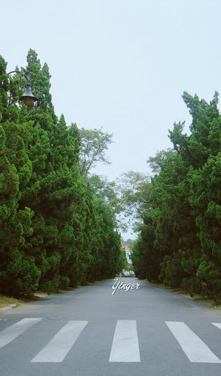独自私奔去青岛——就算没有人为我拍照，至少我还能勇敢地自我欣赏。33