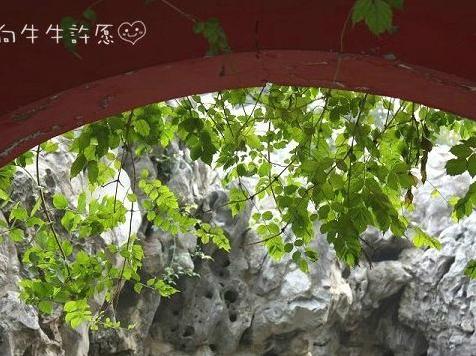 梦中的唐朝勇士，你会在长安城墙下等我吗？33
