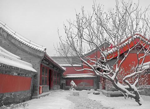 沈阳故宫雪里红6