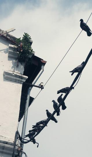 【完结！】旅行就该说走就走：穷游少女勇闯东南亚29