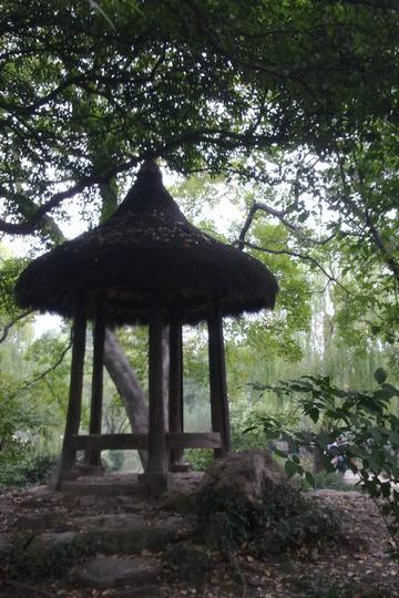 沈园 小游一下11