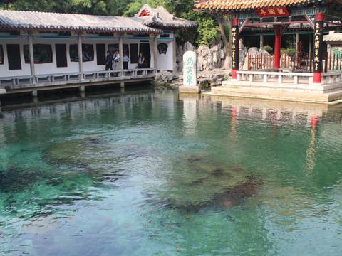 闲逛。济南13