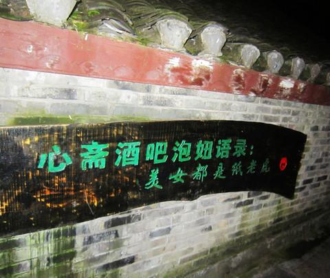 凤凰游~21