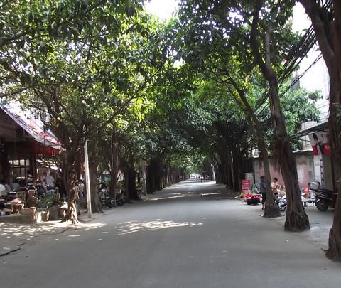 福州，惬意的阳光30
