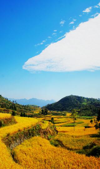 茗岙的梯田，千年古村林坑的一座老桥，霞浦的日落与日出7