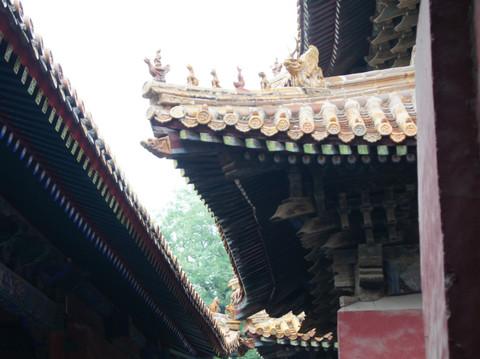 孔府 孔庙 孔林7