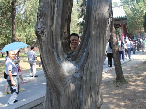 曲阜三孔之夏天的记忆16