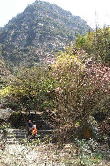 踏青——庐山石门涧17