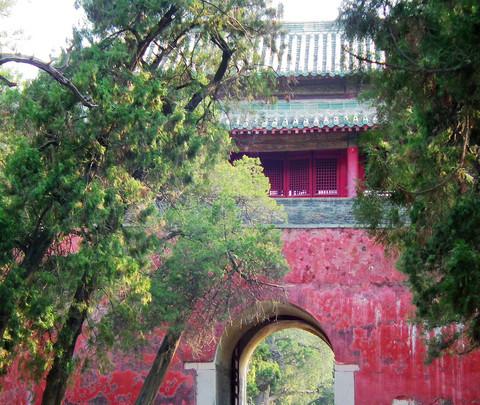 儒——春天的邹城、曲阜（照片朋友拍的）25