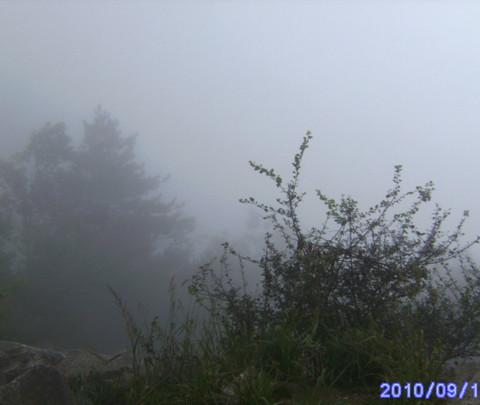 庐山游16