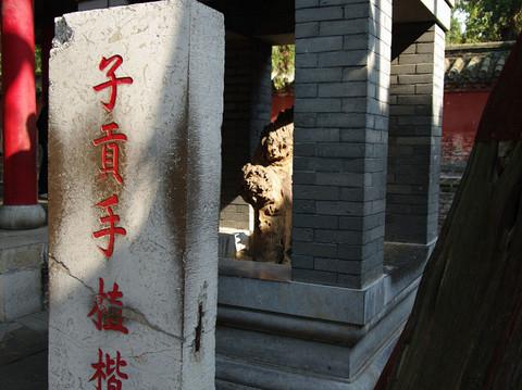 曲阜--泰山 4日游 上海出发11