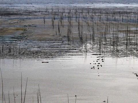 2011年4月2日——2011年4月5日福建霞浦33