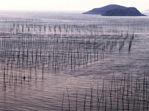 2011年4月2日——2011年4月5日福建霞浦34