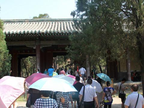 曲阜三孔之夏天的记忆17