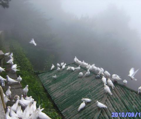 庐山游19