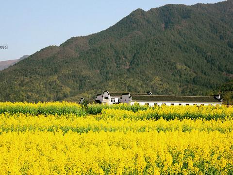 且行且珍惜_@江西婺源 晓起 美如其名的村落21