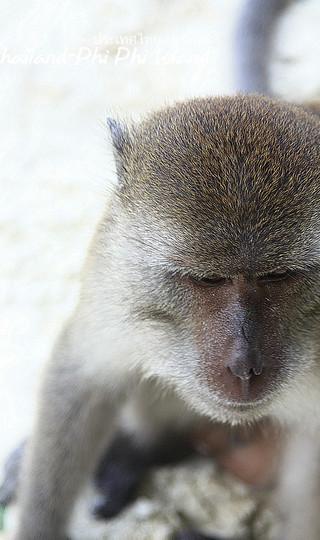 火辣辣阳光之旅(曼谷Bangkok,普吉岛Phuket,卡塔Kata,皮皮岛Phi Phi Island,芭东Patong)泰国全程详细游记+攻略135