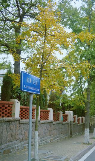 独自私奔去青岛——就算没有人为我拍照，至少我还能勇敢地自我欣赏。34