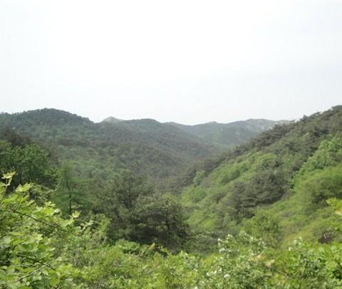 金龙寺森林公园——随拍9