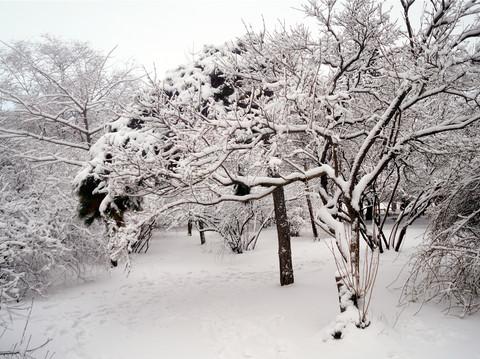 雪 雪 雪。31