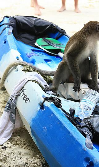 火辣辣阳光之旅(曼谷Bangkok,普吉岛Phuket,卡塔Kata,皮皮岛Phi Phi Island,芭东Patong)泰国全程详细游记+攻略137