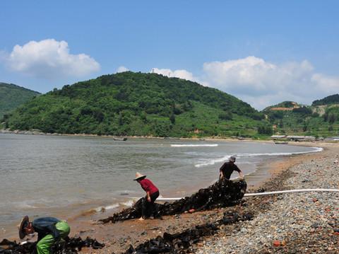 霞浦的霞，霞浦的浦——霞浦摄影详细攻略35