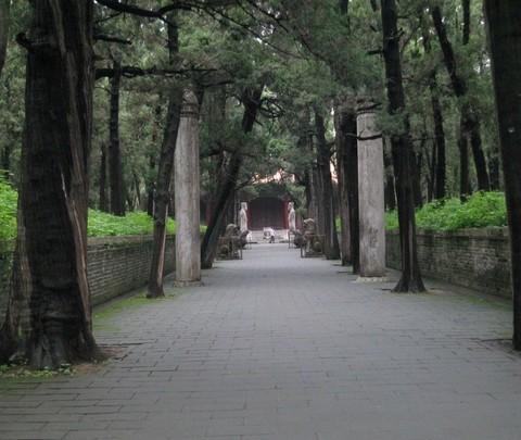 匆匆而过——曲阜10