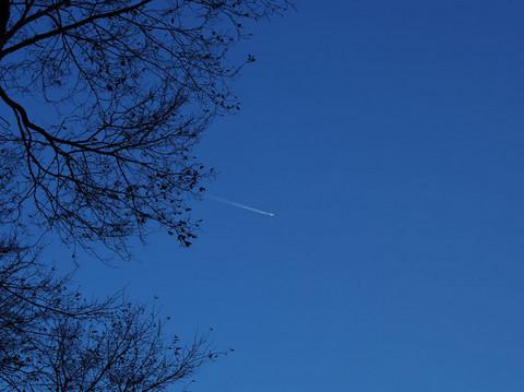 曲阜--泰山 4日游 上海出发18