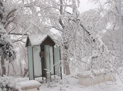 庐山、雪--迟来的回忆2