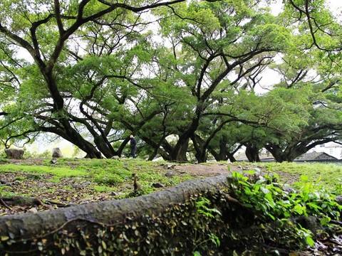 2011年4月2日——2011年4月5日福建霞浦7