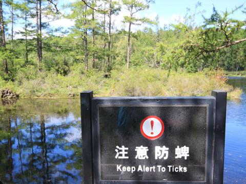 暑假东内蒙古之旅18