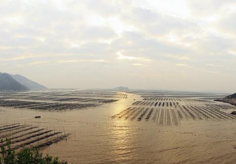 北岐海滩迎朝阳，海上变幻耶稣光--霞浦游之三15
