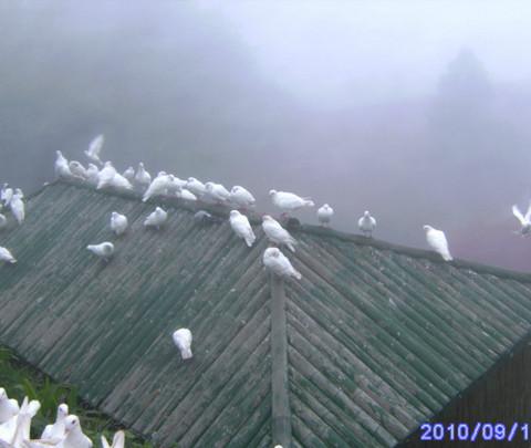 庐山游1