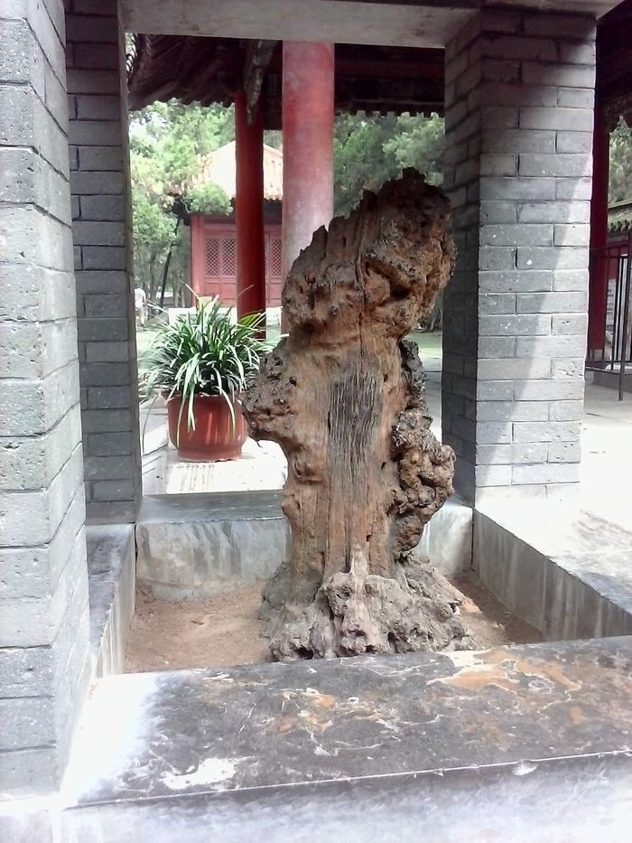 游曲阜,拜万世先师10