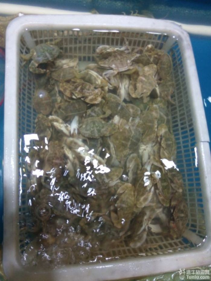 四明山北斗湾漂流 + 芝林小九寨两日游游记14