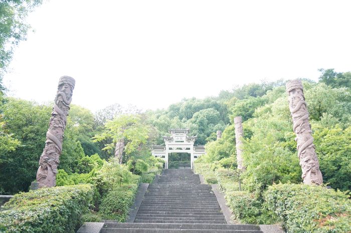 六月中旬杭州千岛湖游记20